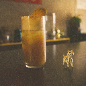 Cold Brew Ginger Tonic